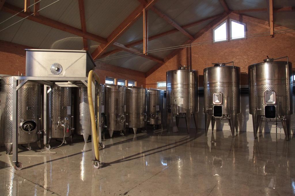 Winzerzimmer - Weingut Tinhof Айзенштадт Экстерьер фото